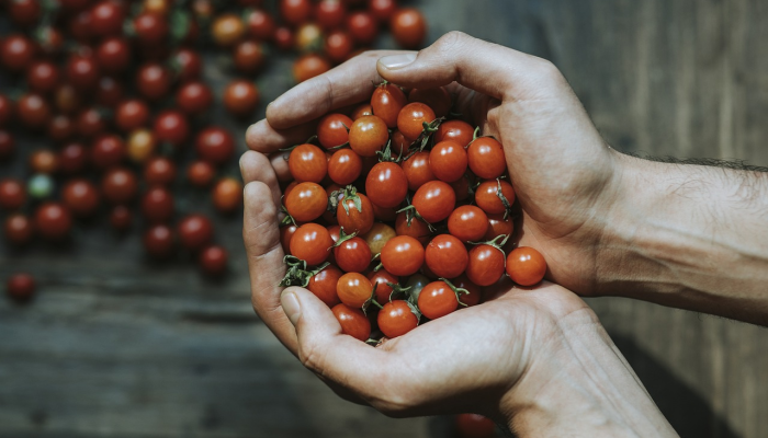 六安近日疫情最新情况：科学防控，共建安全社区