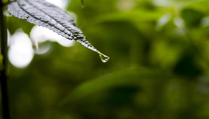 最新消息德州疫情等级:全面解读最新动态与防护策略 最新消息德州疫情等级:全面解读最新动态与防护策略