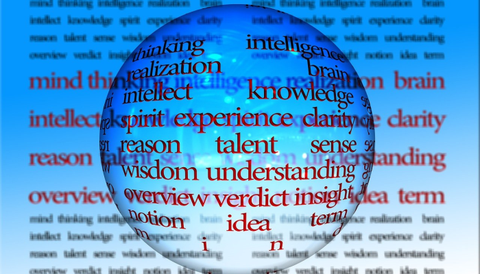 长安盐仓疫情最新情况：防疫措施与社区反应