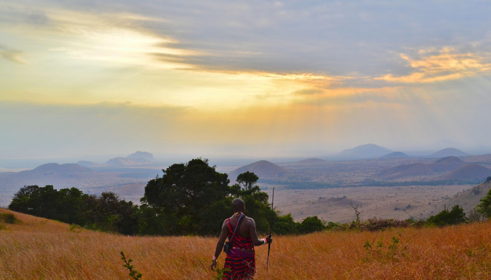 广西旅游最新疫情：安全出行，探索美景