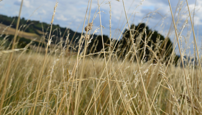 纳木错最新疫情：保护环境与健康的双重使命