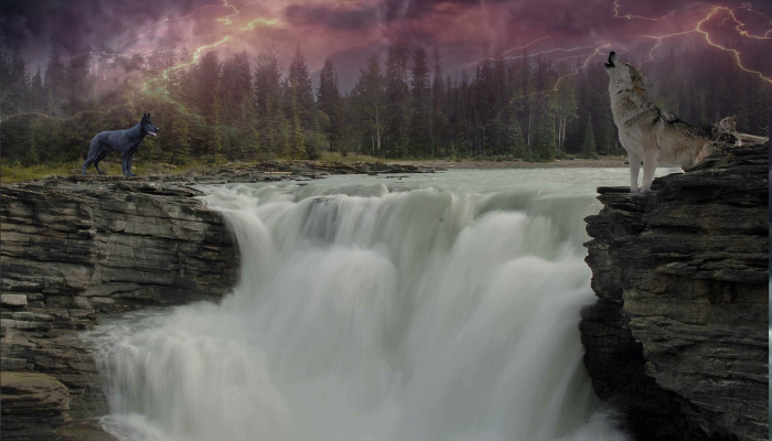 山西长城最新疫情通报：重磅来袭，揭秘最新动态与防疫措施