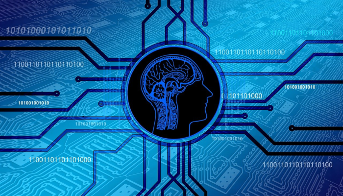 国宾首府最新疫情：全面解读与安全保障指南