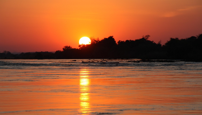 也门亚丁最新疫情：全球关注的焦点