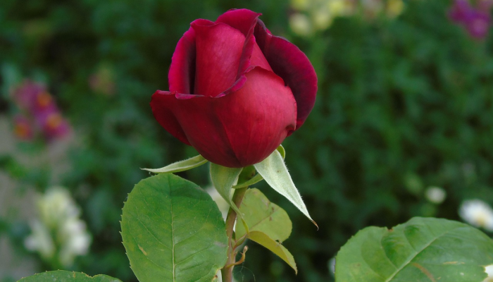 全国最新疫情排名金华：你需要了解的最新疫情动态