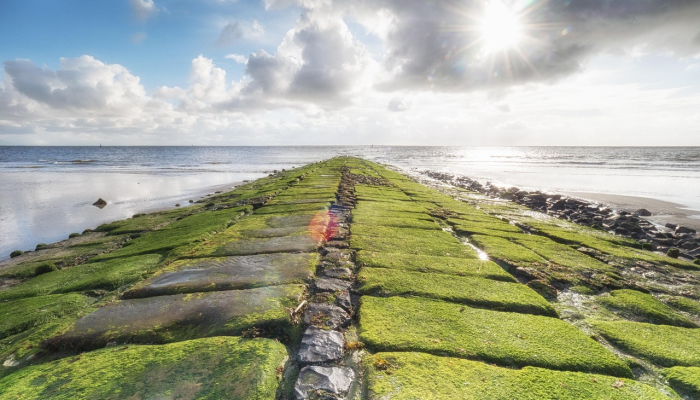 开封疫情等级查询最新：你所需的实时信息，让健康安心