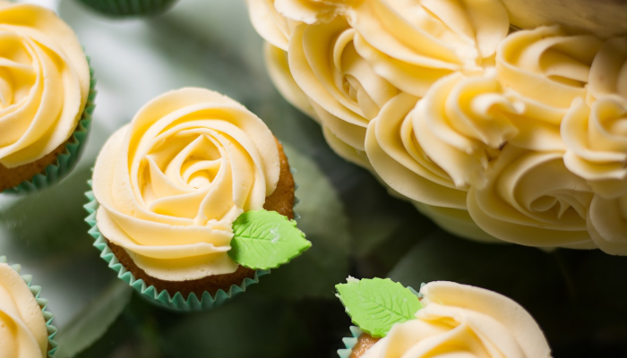 浙江疫情情况龙港最新:最新动态与防疫措施解读 浙江疫情情况龙港最新:最新动态与防疫措施解读