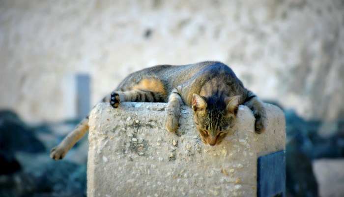 盂县最新疫情路况:为您提供最新、最全的防疫信息 盂县最新疫情路况:为您提供最新、最全的防疫信息