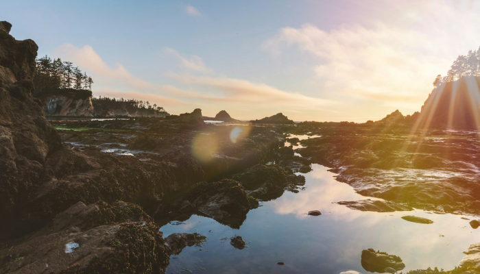 美国疫情最新节目:全面解读最新疫情动态 美国疫情最新节目:全面解读最新疫情动态