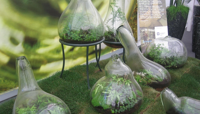 查看烟台最新疫情消息：最新动态、防疫措施及健康建议